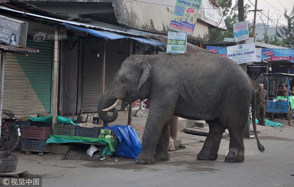 欧;洲央—行官员Rehn敦促利率保持灵活性 并确认竞选副行长一职
