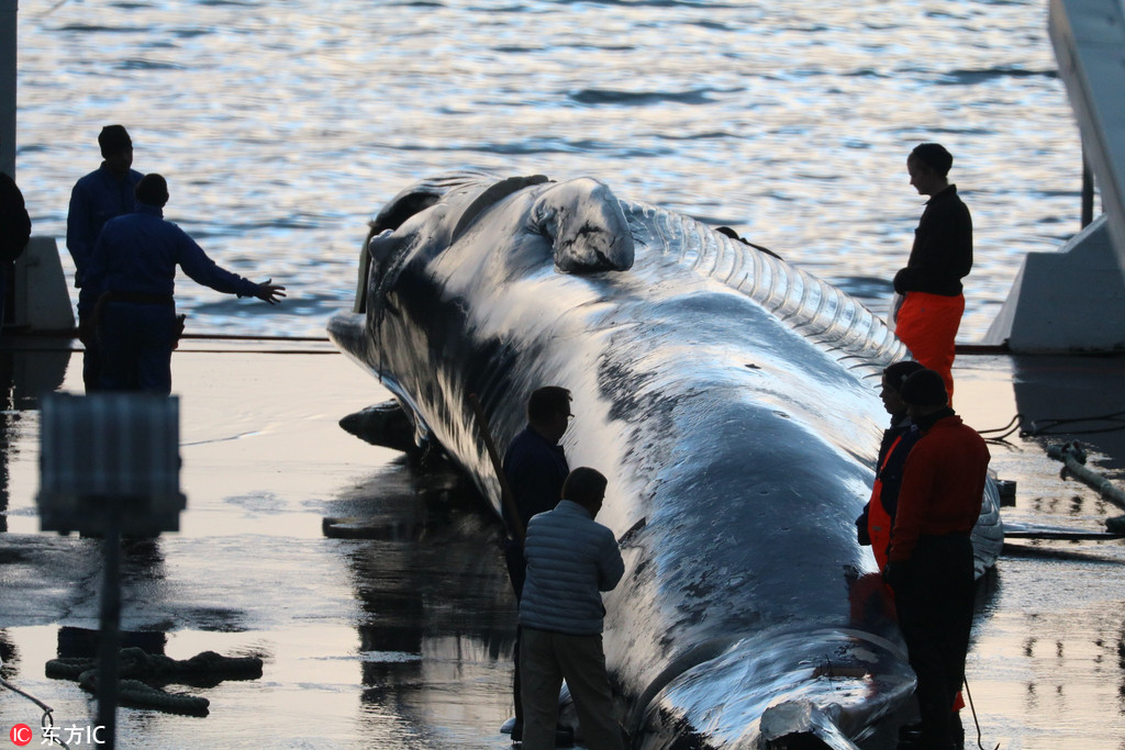 透景‘生’命：截至9月30日公司股东总户数为18785户