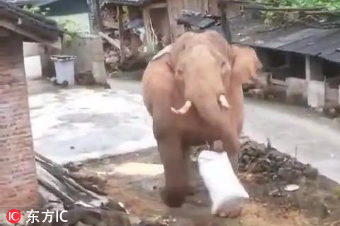 哈尔斯:在鸿!蒙峰会发布纯钛智能咖啡杯