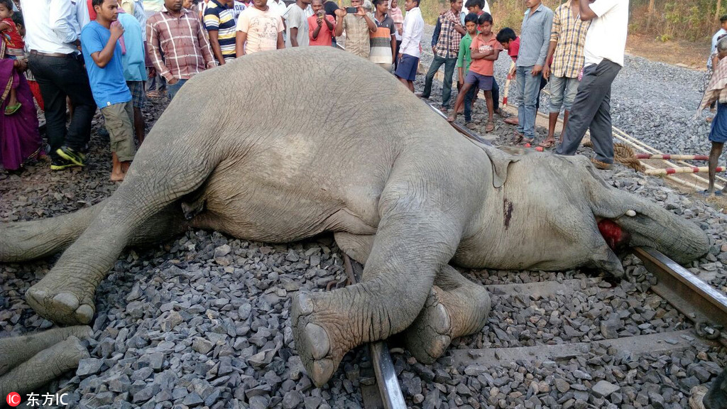 牛市早报｜,第八届进博会今日开幕，2026年节假日安排公布