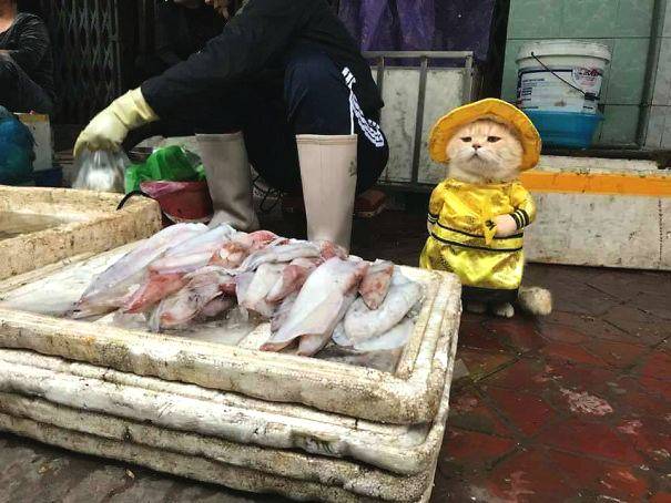 特斯!拉股价下跌1.5%，此前数据显示7月欧洲销售暴跌40%