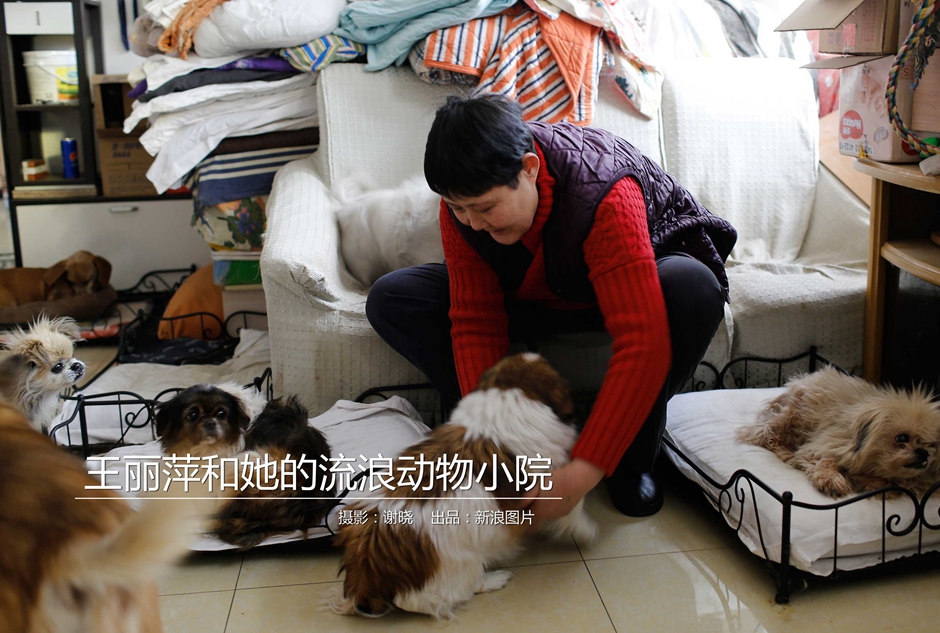 法庭文件马斯克曾‘试’图与扎克伯格联手收购OpenAI