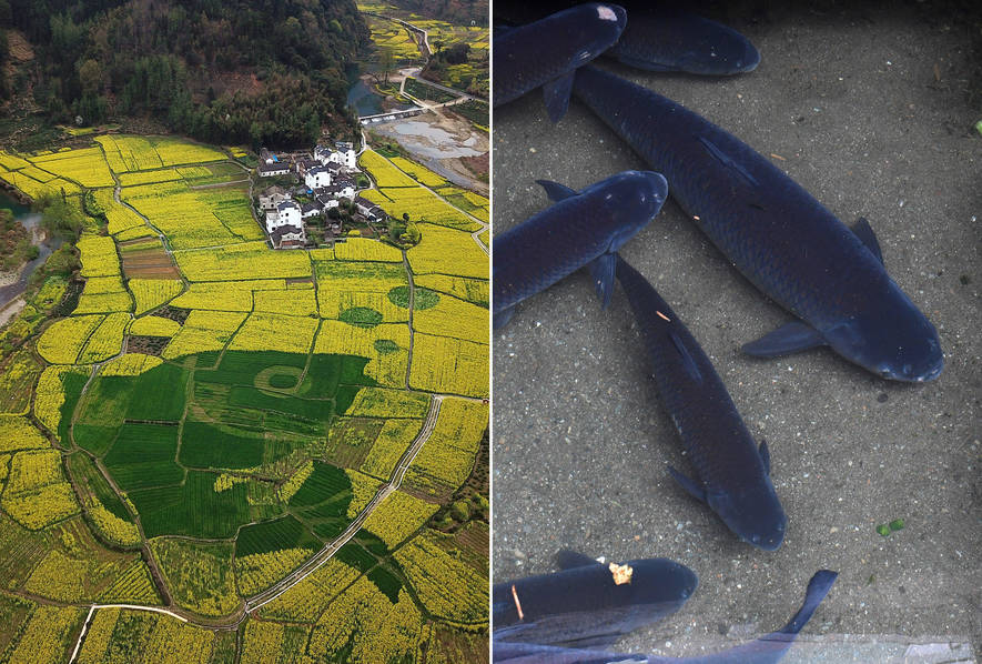 Ope,nAI计划推出Sora 2独立App，默认使用版权内容引发争议