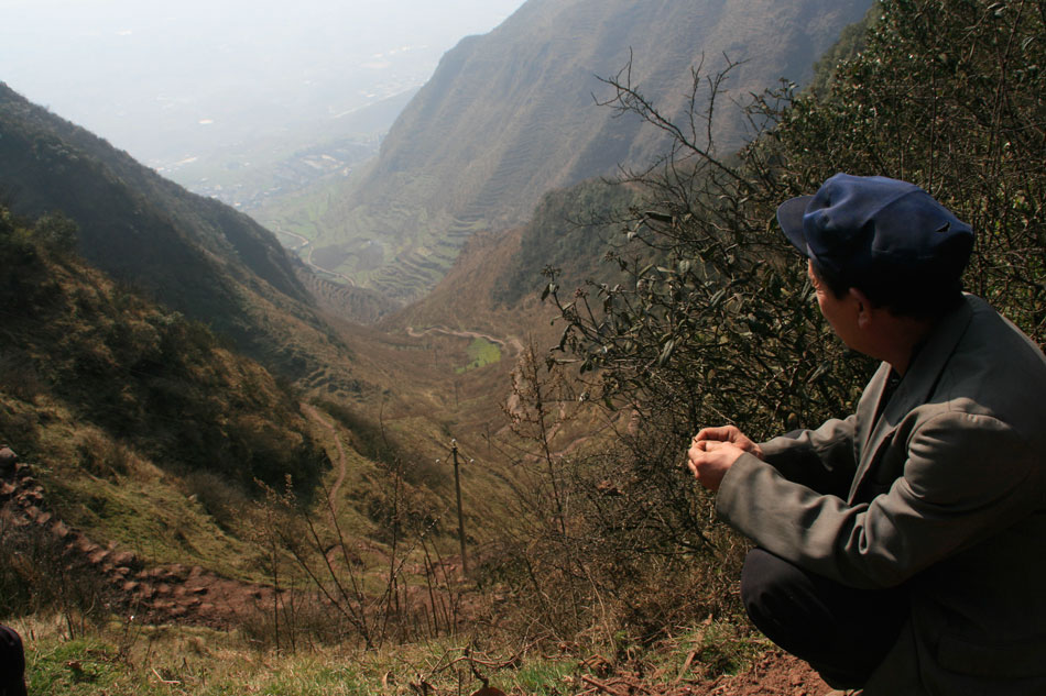 10月国<产>新机激活量TOP10出炉 小米17 Pro系列占前二