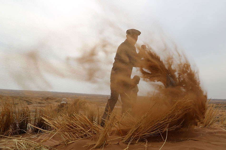 金牛化.工：选举董;辉为董事长