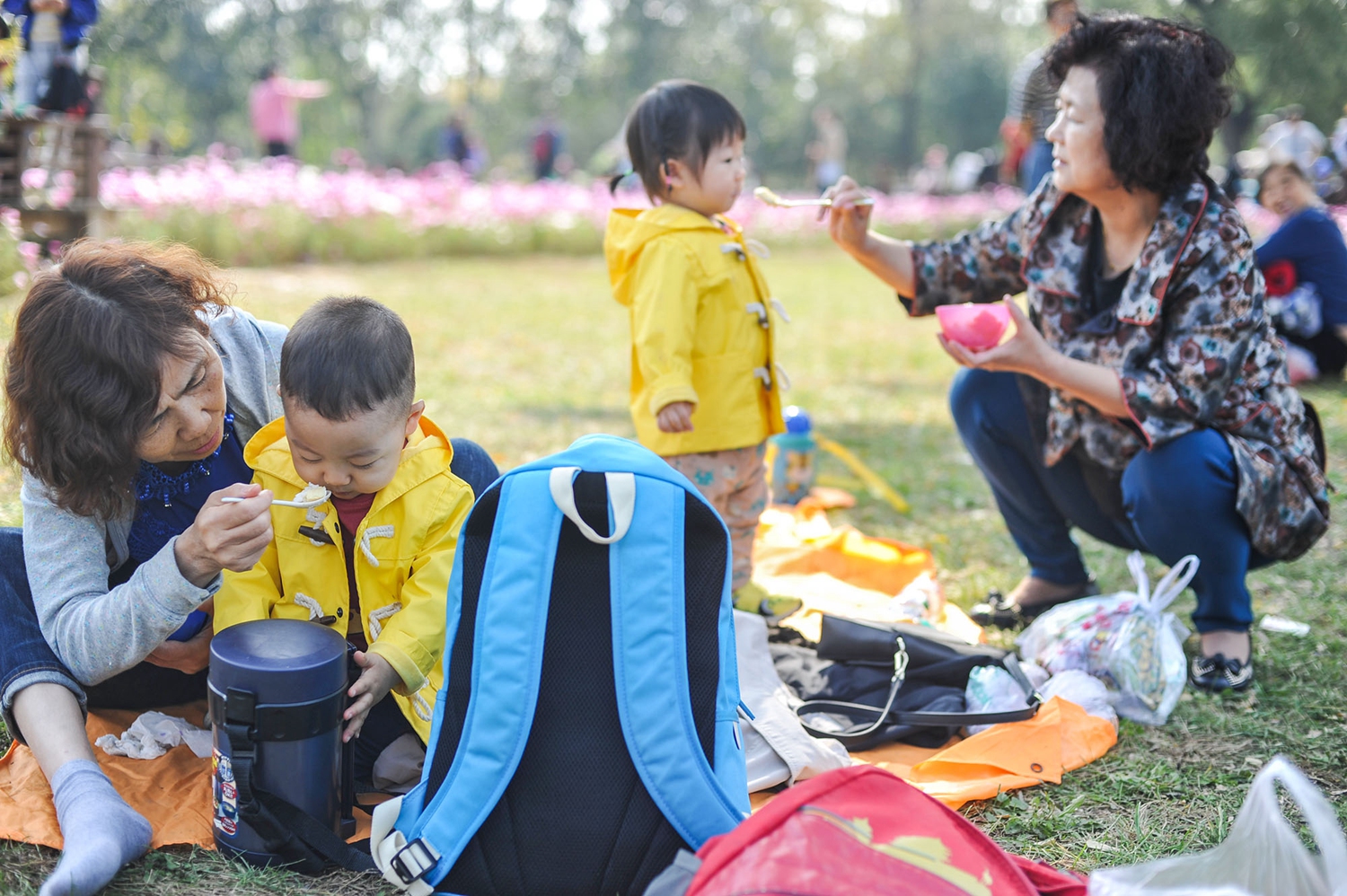 凯撒旅业：所持易!生金服控股集团有限公司权益比例为20.31%