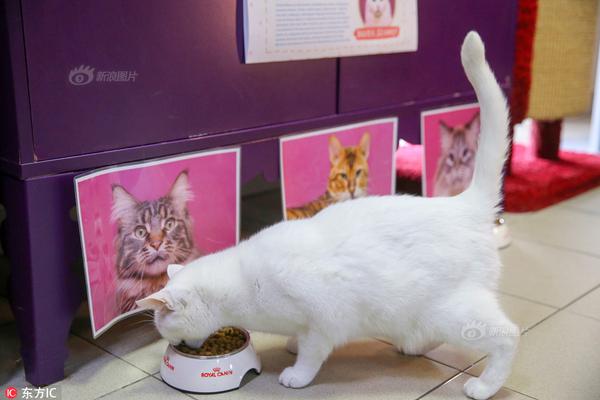 BOE;（京东方）携多项智能制造创新成果亮相世界制造业大会 定义未来产业新图景