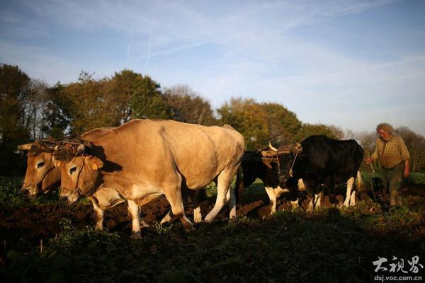 一品红前!三季度净利!亏损1.36亿元，同比减亏