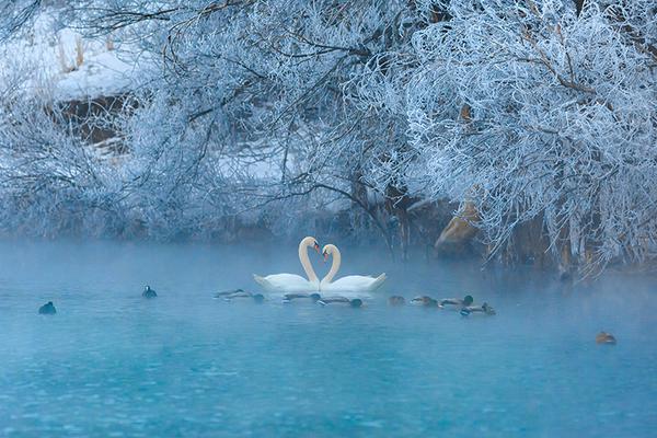 不要再给!银行招黑了，好吗