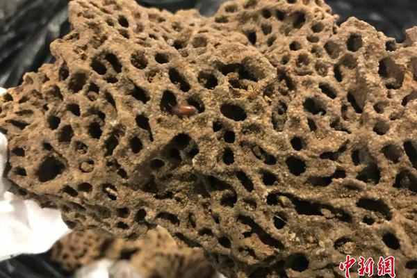 收评：沪指、创指,收跌 猪肉概念股持续强势