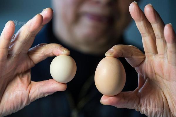 长电科技：‘2’025—年半年度净利润约4.71亿元