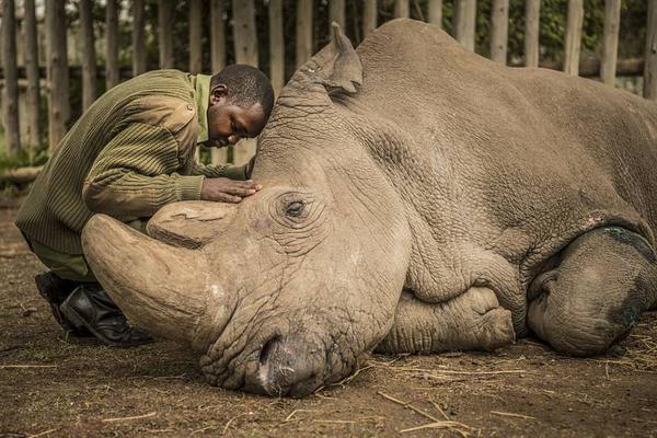 国;信证券：锚定科技金融全链条 激活新质生产力