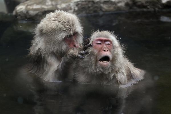 港股开盘‘：’恒生指数跌0.44%，恒生科技指数跌0.51%