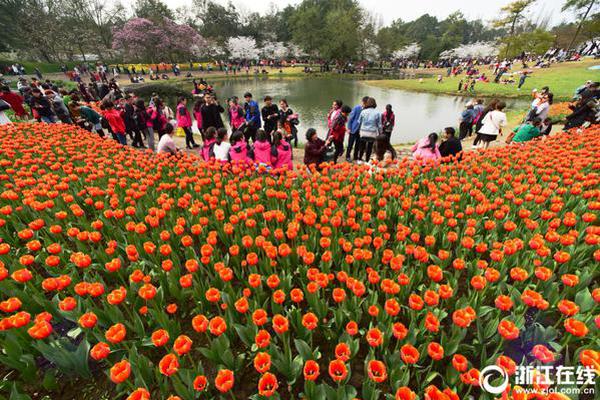 百:亿?呼吸药物市场角逐：解锁“沉默区”，挖掘新增长