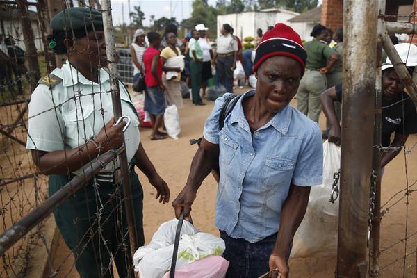 金:徽酒 2025 半年报：结构升级承压 区域依赖困境待解