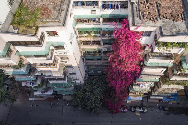 尚太科技;：不存在逾期担保