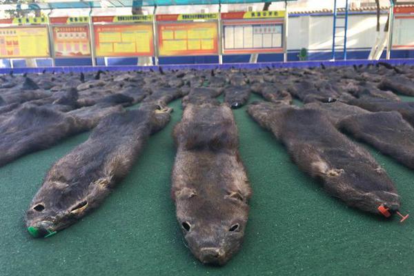 欣旺达!A+H收证监会反馈意见：结合质押原因、偿债能力、合同履行，说明大股东质押是否会导致控制权发生变化