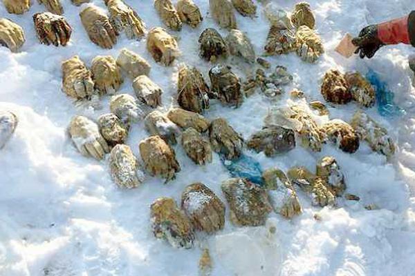 “私募一哥”A股,清零，大恒科技再临十字路