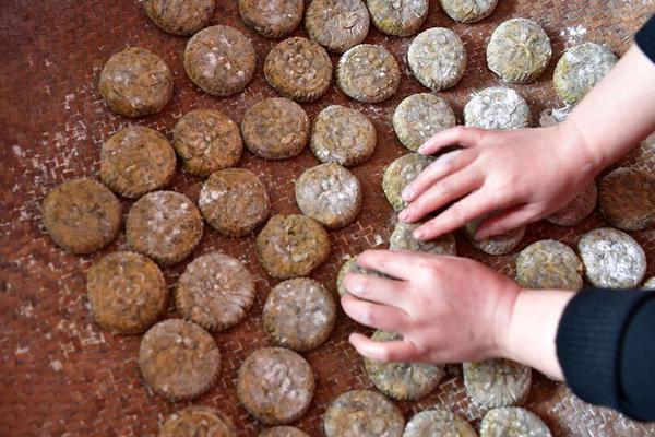 亚马.逊副总裁：智能体将成为自“云计算诞生以来”最重大的技术变革