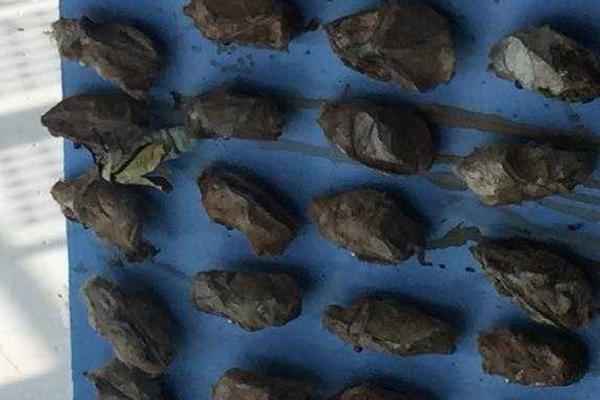 最新！南平市住房公积金提取、个人住房贷款管理实施细则公布