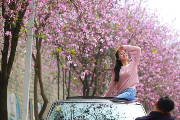 中芯国际，净利增<长>43.1%