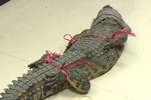 2.025 中国企业 500 强发布：国家电网、中石油、中石化排名前三，京东第十