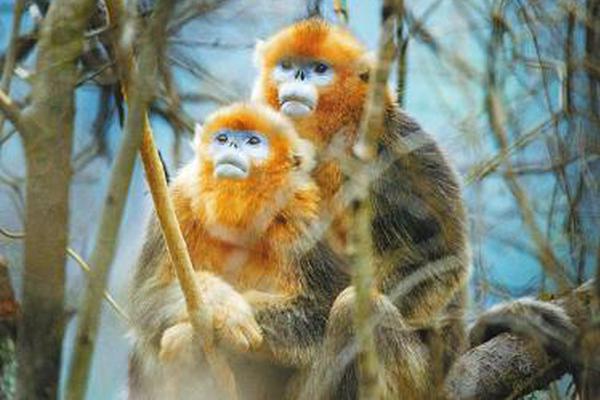 邦达.亚.洲:经济数据表现疲软 欧元小幅收跌