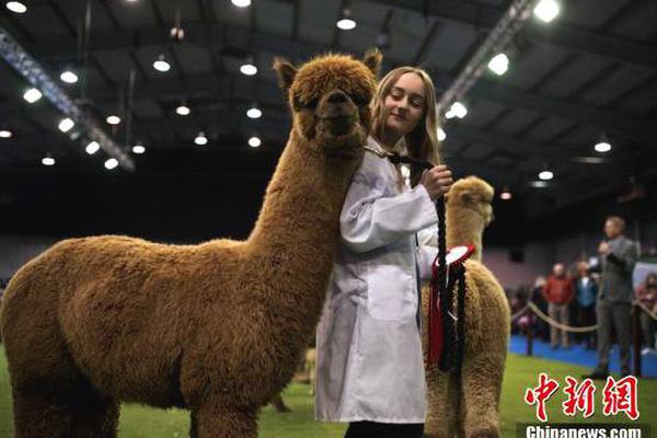 调—查指股票投资继续成为香港强积金中最普遍的资产类别