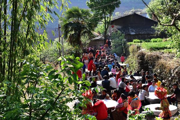 迎驾—贡酒：第三季度归母净利润3.81亿元 同比下降39.01%