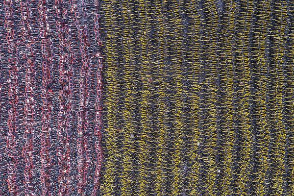 海南发:展：公司及—控股子公司不存在逾期担保