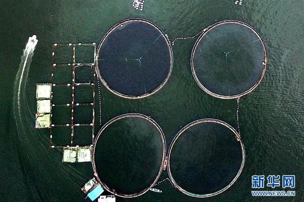 降本!增效双轮驱,动 包钢股份上半年实现营业收入313.27亿元