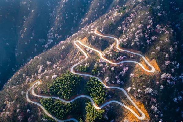 【开‘源’机械】灵巧;手：特斯拉机器人迭代最重要的方向，量产落地的“最后一厘米”