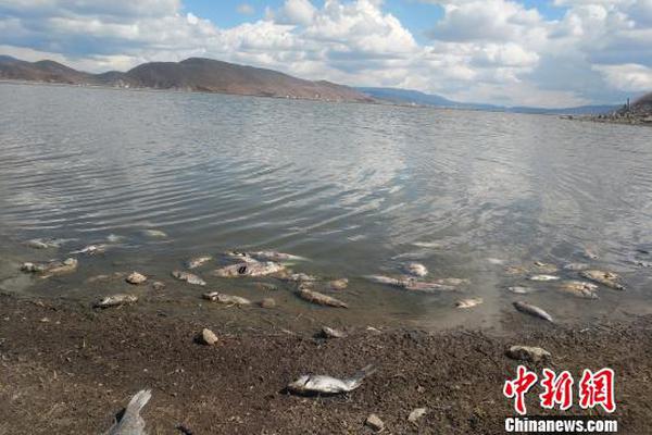 1?4家理财公;司8月规模增超2800亿，现金类占比创年内新低