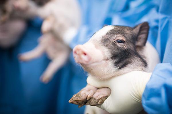 购买“!现车”什么时候能交车？小米汽车回应