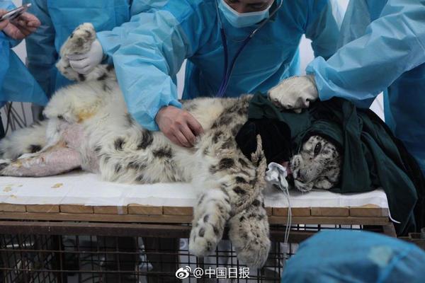 兰—生股份：公司未持股上海微电子