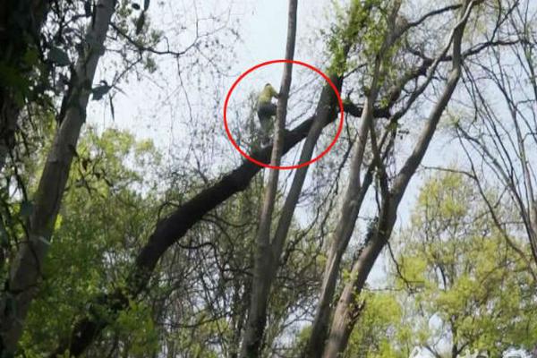 【国<信>银行】宽信用又添工具，银行信贷受益：新型政策性金融工具快评