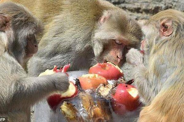 亚太股:份：公司的产品可以根据整车厂的具体车型和具体参数定制开发