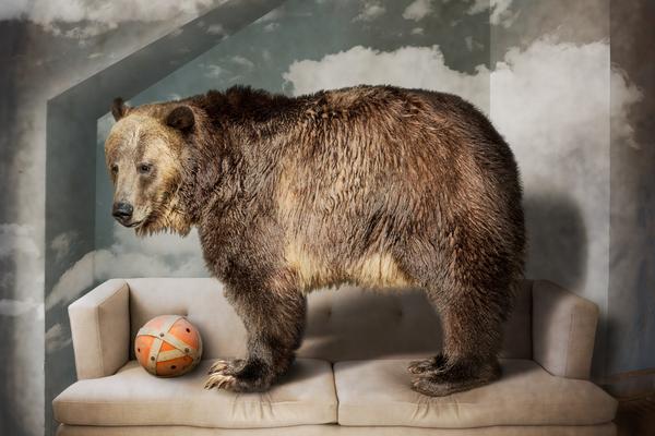 中央汇金6—月底ETF<持>仓超1.28万亿元  “长钱长投”良性生态正在形成