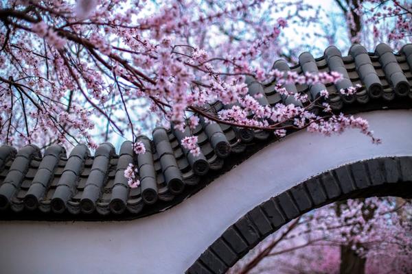 降?息是踩坑？智库：美联储明年或“被迫加息”