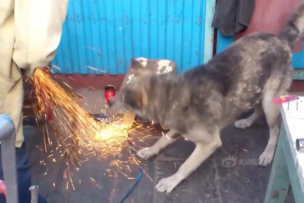 暑.期“文博游”撬动文旅消费新增量
