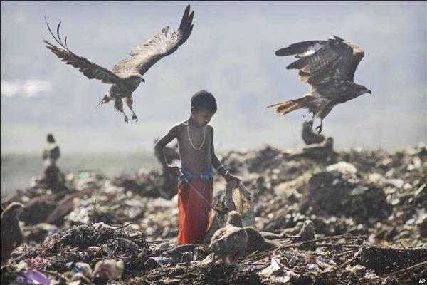 【;银河电新,曾韬】公司首次覆盖丨麦格米特 (002851)：AI电源放量可期，全球化布局持续优化