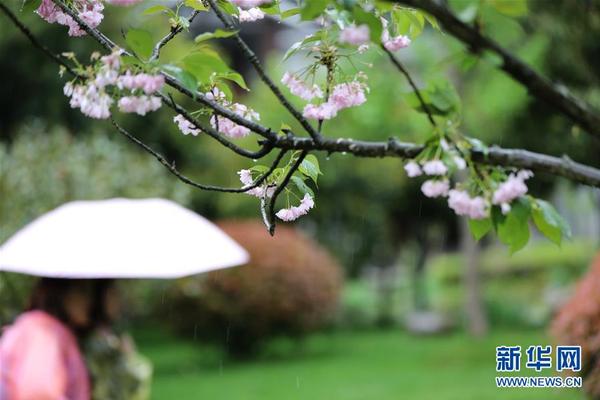 锐明技‘术’（002970）：中标深圳市东部公共交通有限公司采购项目，中标金额为111.96万元