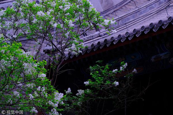 新;一代宝马外观大变！新世代首款量产车iX3将于9月5日全球首发：未来宝马统一设计语言