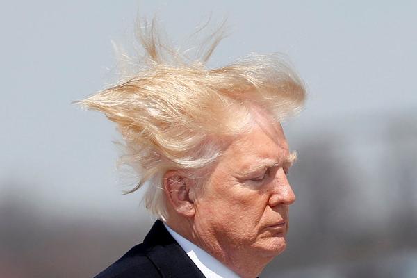 青岛<中>程（300208）被证监会正式处罚，浩丰科技（300419）索赔案持续推进