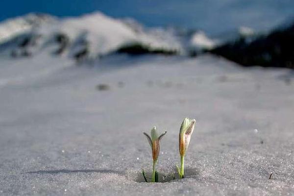 29股获杠!杆;资金净买入超亿元