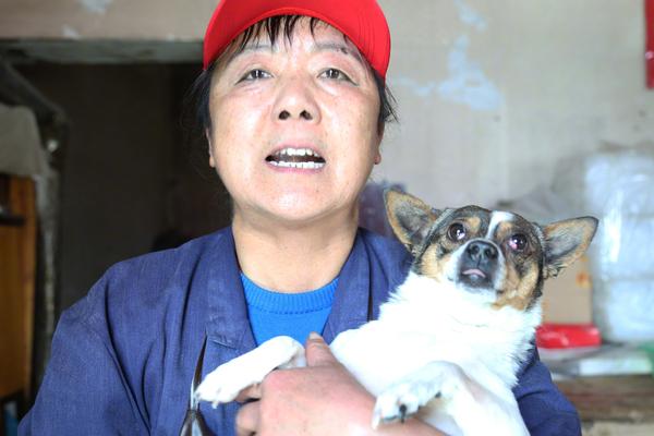 安彩高科收—购河南高纯矿物100%股权 加强对原材料控制