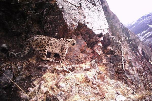 俞敏‘洪’：打算明年冬天选择10个基层优秀员工和10个东方甄选优秀会员，由公司支持到南极来看一看