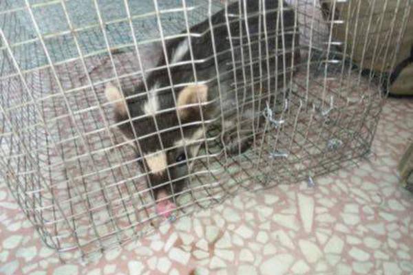 英伟达的泡沫，或许能.再吹5万亿美元