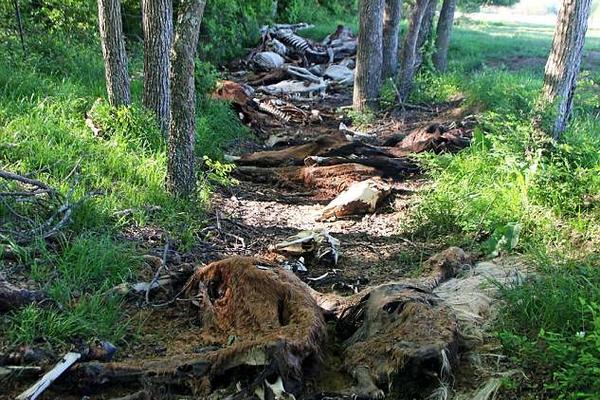 中金基金新任耿帅军‘为’副总经.理