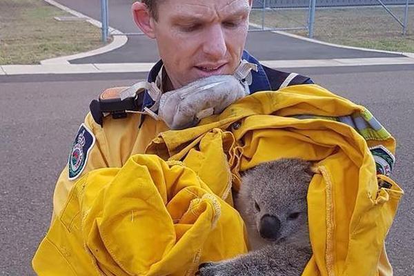 AMHS整!体解,决方案提供商弥费科技完成Pre-IPO轮近3亿元融资